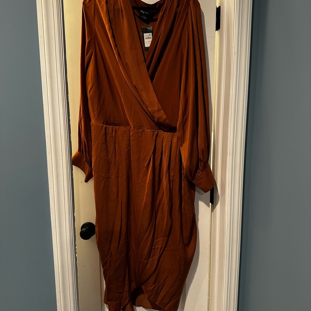 Elegant Rust Dress